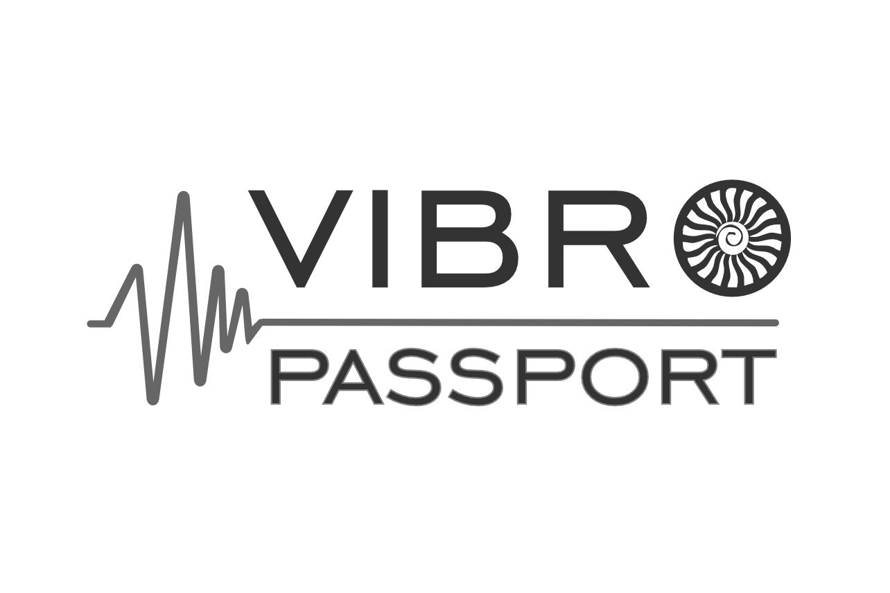 Vibropassport logo